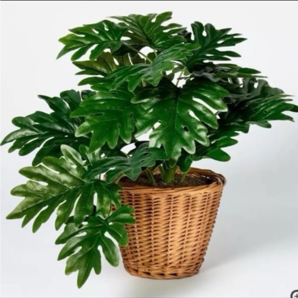 Studio McGee 18" Philodendron Decorative
Plant in Basket-Threshold